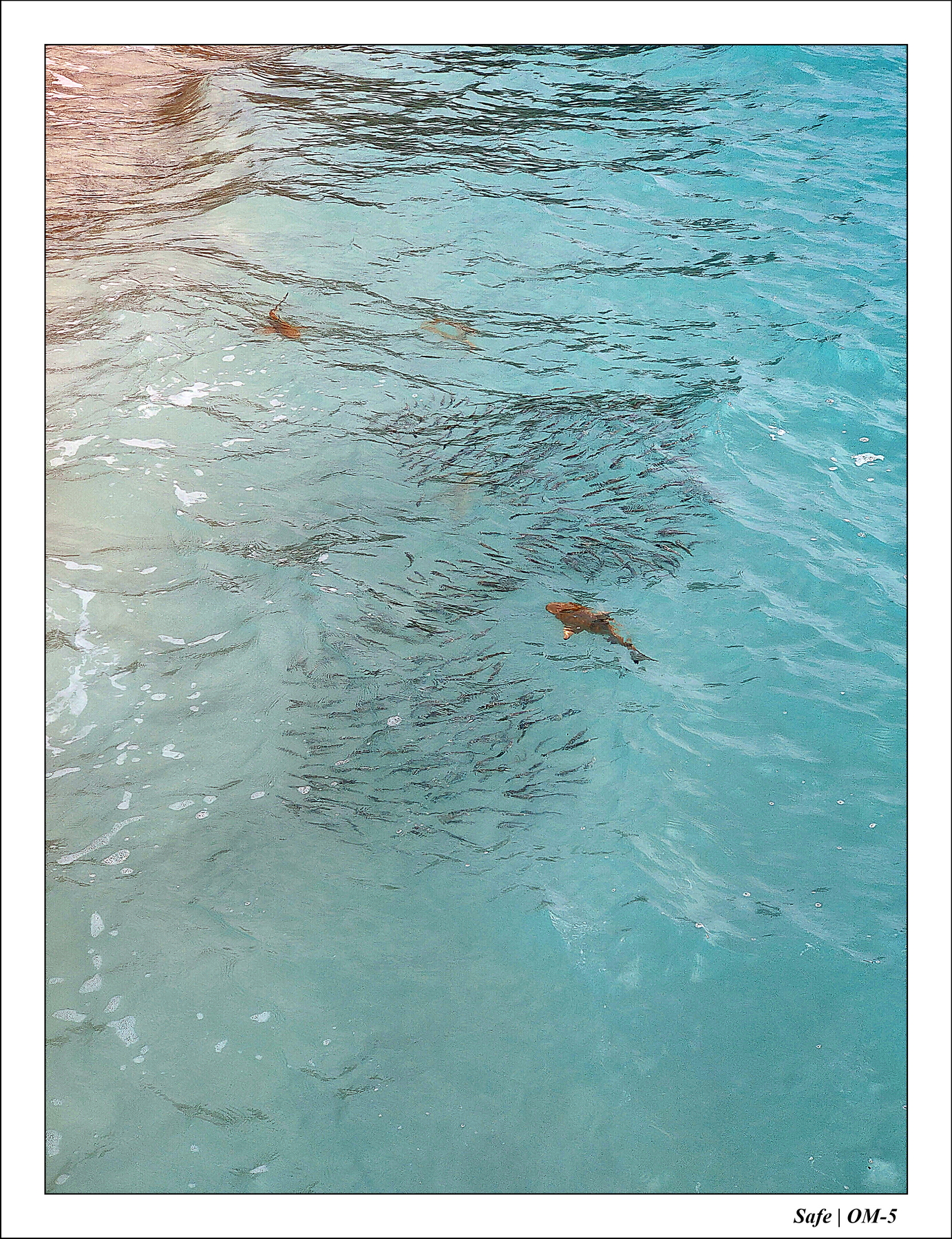 2024 - 08 -Angsana Velavaru - 27